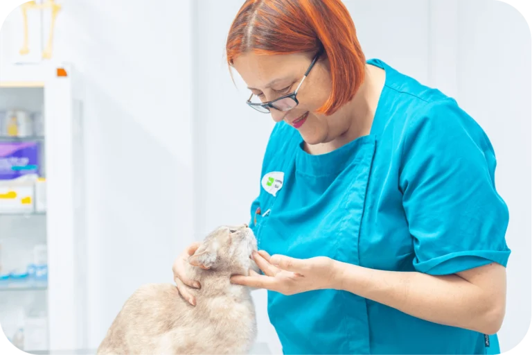 Maria Pifarrer en consuta con gato en Centre Veterinari del Barri Llatí de Santa Coloma de Gramenet