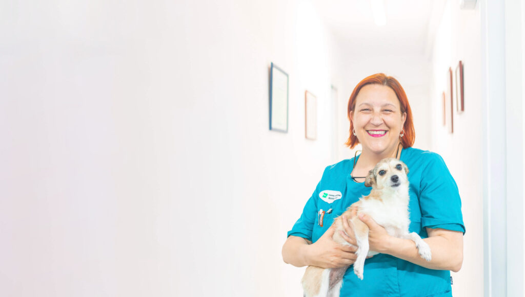 maria pifarre con perro en brazos en Barri Llatí Centre Veterinari de Santa Coloma de Gramenet