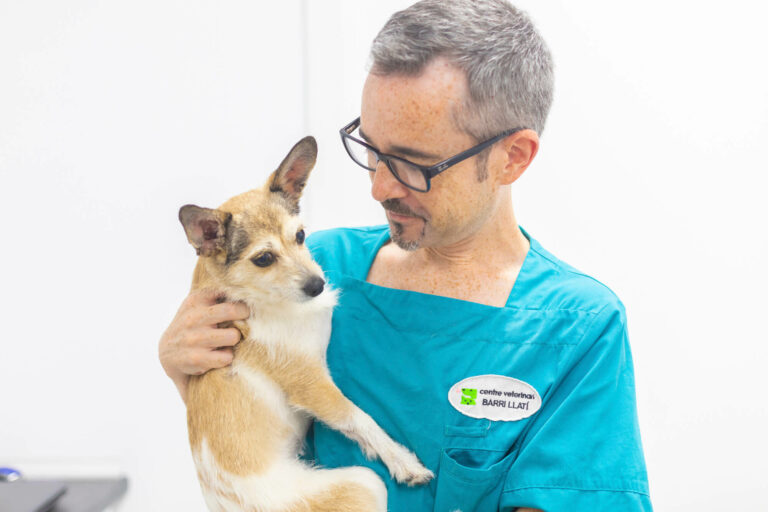 veterinario con perro en brazos en Barri Llatí Centre Veterinari de Santa Coloma de Gramenet