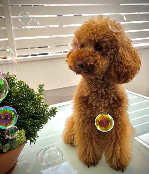 1 Frida - Nuria Elias Toro