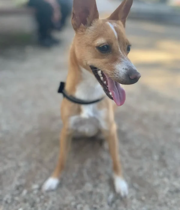 2 Aika Haro - Nuria Maria Sanchez