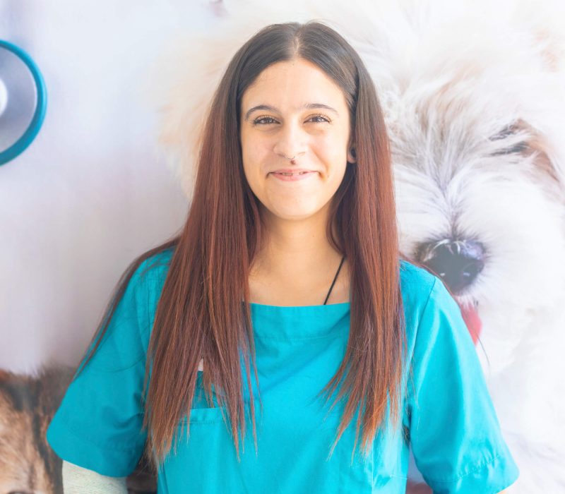 atv montse en Barri Llatí Centre Veterinari de Santa Coloma de Gramenet