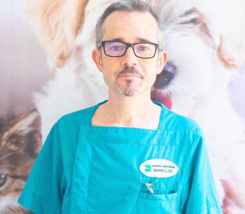veterinario xavier en Barri Llatí Centre Veterinari de Santa Coloma de Gramenet