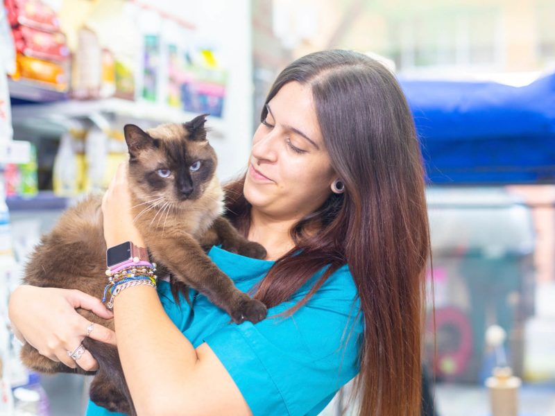 barri llati-atv-gato atv con gato en recepción de Barri Llatí Centre Veterinari de Santa Coloma de Gramenet