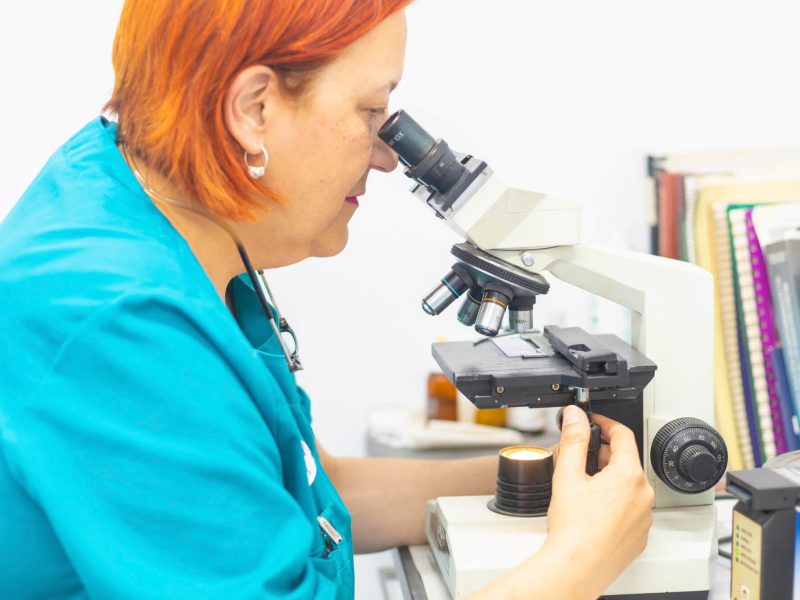 veterinaria observa muestra en microscopio de Barri Llatí Centre Veterinari de Santa Coloma de Gramenet
