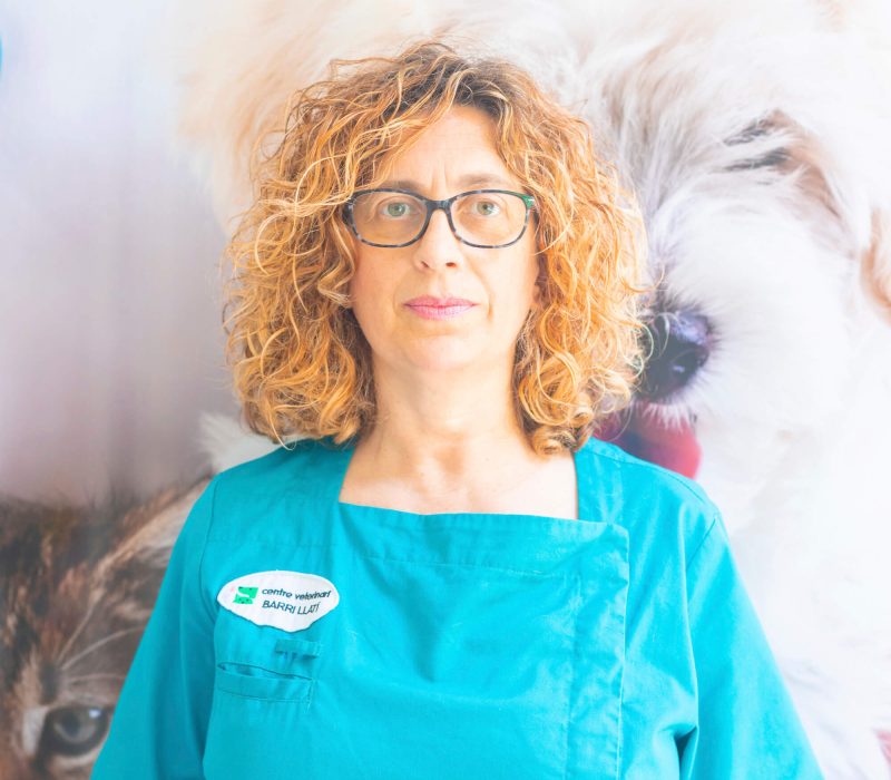 atv paqui en Barri Llatí Centre Veterinari de Santa Coloma de Gramenet