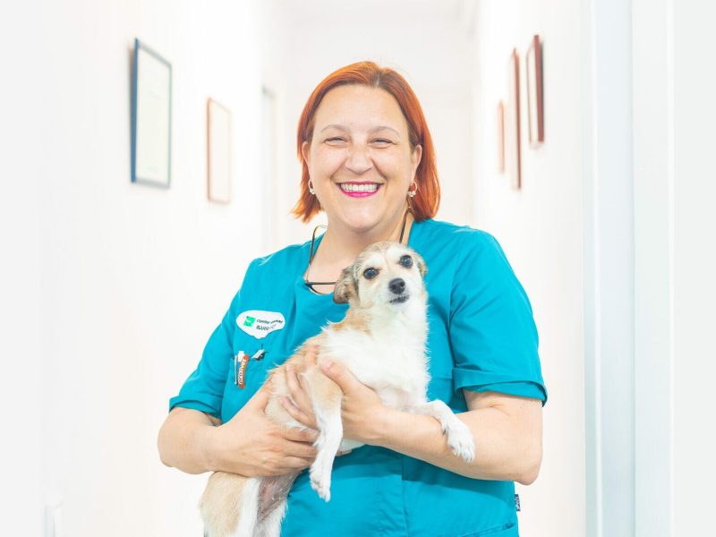 barri-llati-veterinaria-mariapifarre Veterinaria de Centre Veterinari del Barri Llatí de Santa Coloma de Gramenet